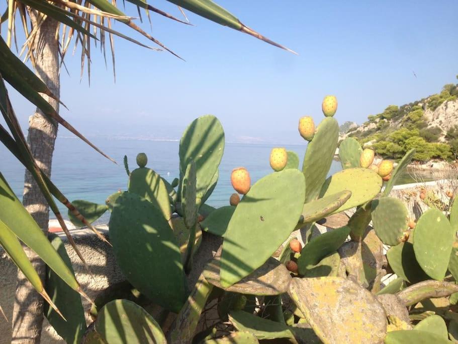 불리아그메니 호수 House By The Sea At Skaloma, Loutraki 빌라 외부 사진